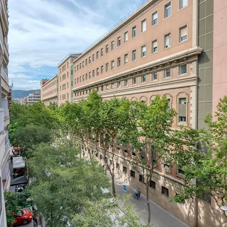 Antiga Esquerra De Leixample 2br Nr Hospital Bcn-101